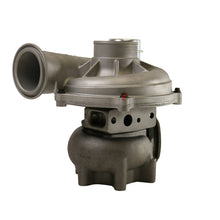 Load image into Gallery viewer, Photo - Unmounted