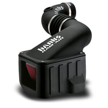 Load image into Gallery viewer, Photo - Close Up