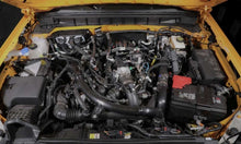 Load image into Gallery viewer, Photo - Mounted