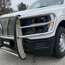 Load image into Gallery viewer, Westin 21-22 Ford F-150 (Excl. Raptor/Platinum) HDX Grille Guard - SS