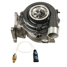 Load image into Gallery viewer, User 1