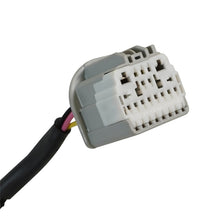 Load image into Gallery viewer, Photo - Unmounted