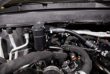 Load image into Gallery viewer, Photo - Mounted