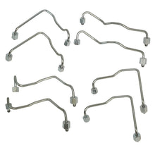 Load image into Gallery viewer, Photo - Primary