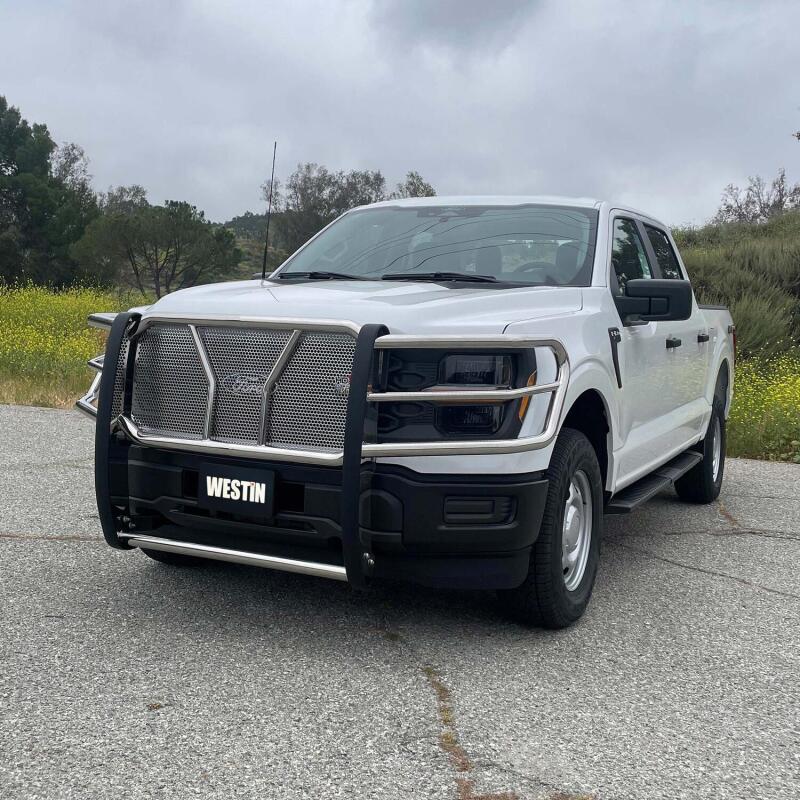 Westin 21-22 Ford F-150 (Excl. Raptor/Platinum) HDX Grille Guard - SS