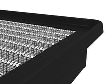 Load image into Gallery viewer, Photo - Close Up