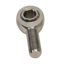 Load image into Gallery viewer, Photo - Unmounted