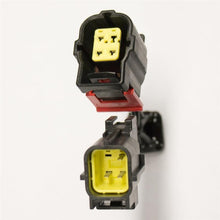 Load image into Gallery viewer, Photo - Primary