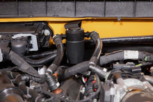 Load image into Gallery viewer, Photo - Mounted