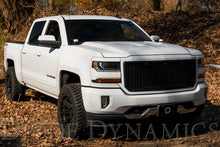 Load image into Gallery viewer, Diode Dynamics 14-19 Silverado/Sierra SS3 LED Ditch Light Kit Sport - White Combo